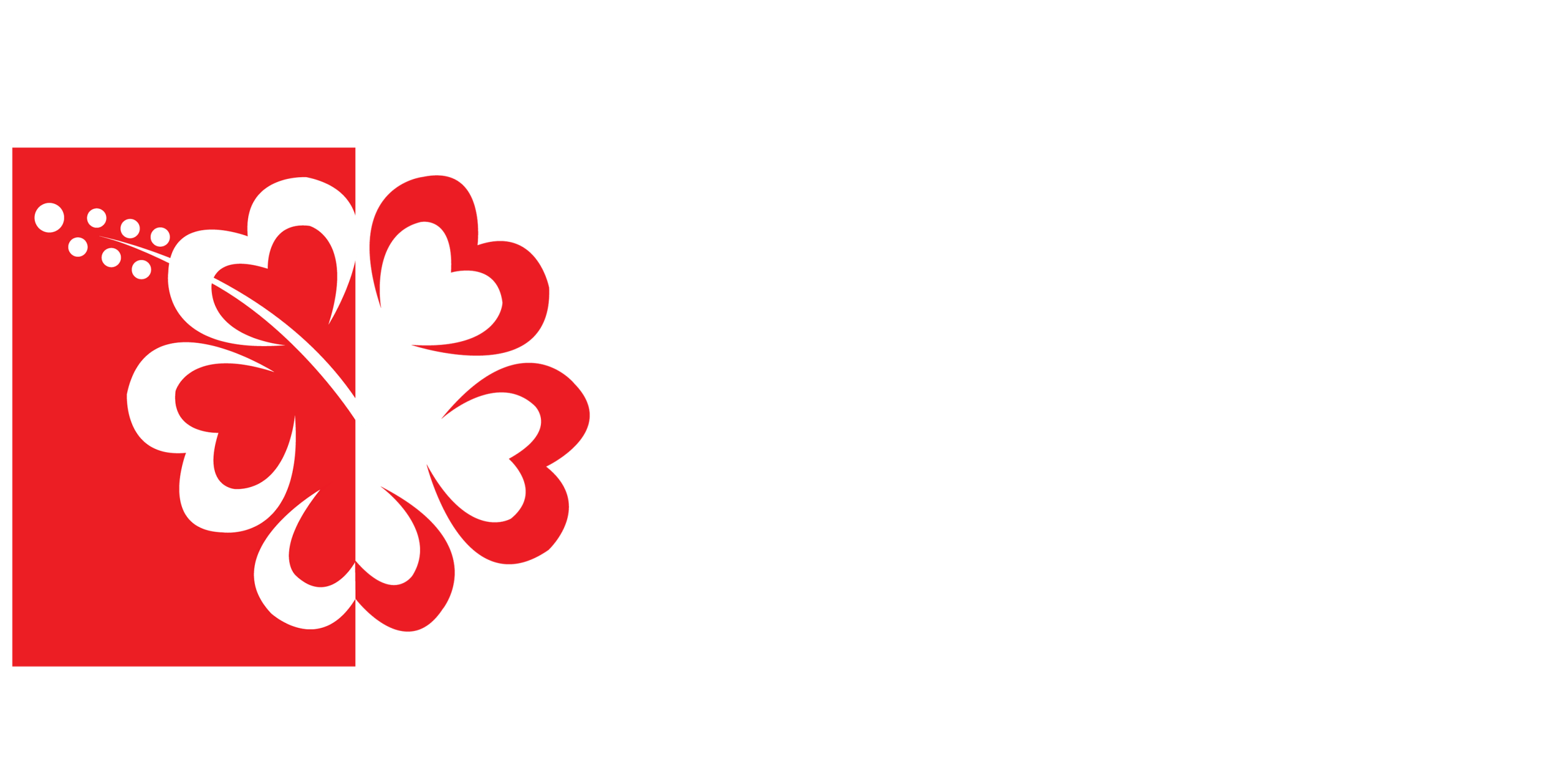 MSI RED & WHITE